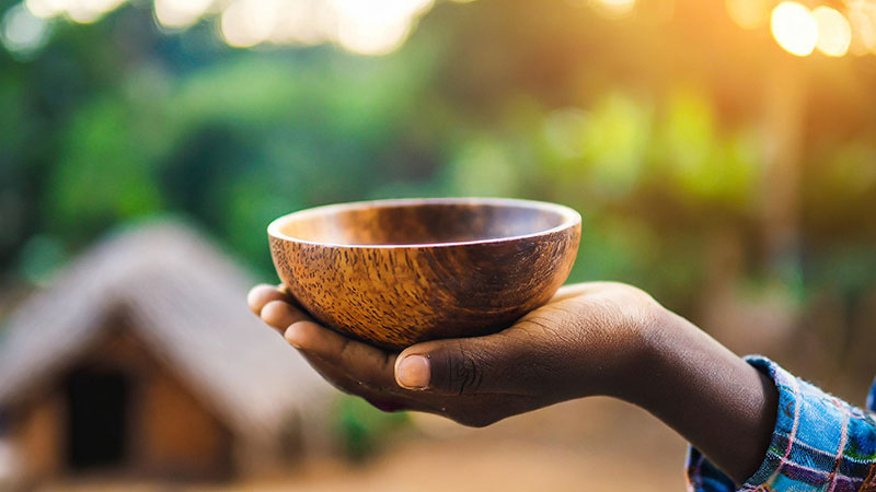 Wood Bowl Africa